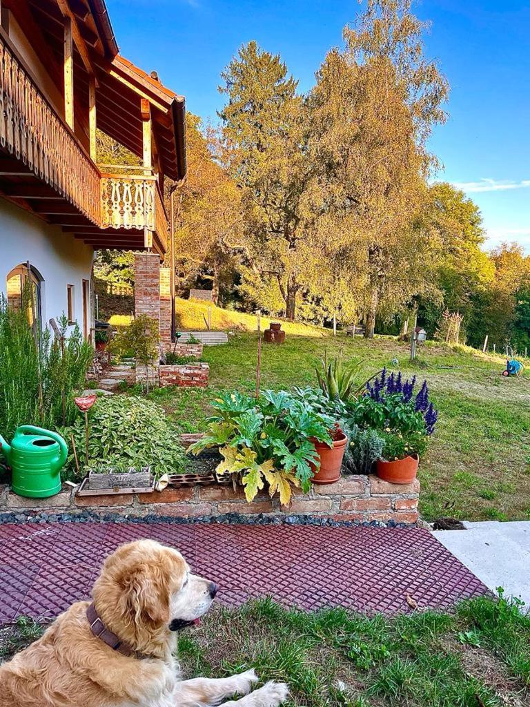 Sunhill Appartments, Klimatisiert Winhoring 외부 사진